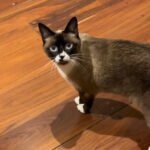 10F1A583-C32E-425F-97F8-E5EE7786D209