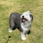 33239843-EF40-45B9-98EB-14641B1E1FCB