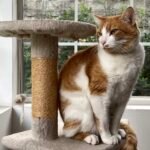 DDDB0323-49C7-4A58-B273-B04BC927164B