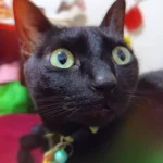 IMG_20250104_101634_181