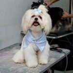 c5e744be-8f86-40ca-9df5-e207dfc978e1