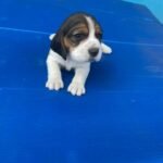 48380afd-9a35-402e-934d-608fec1d0b66