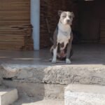 b0aedd59-4073-4dbb-9e5f-fbed9bbff248-1_all_1321