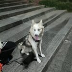 b0aedd59-4073-4dbb-9e5f-fbed9bbff248-1_all_40