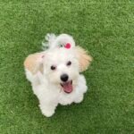 d8e0d5a2-59c3-4a41-a840-fc7603db5339