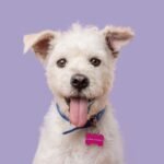 940f2bbc-48ce-463f-a77b-eed27cc28573