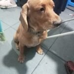 17743101907304434622827995032986