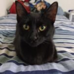 9d7d4c49-12c3-4bdb-abdb-aa1790516075-1_all_31399