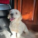 FD98B775-7167-4F8C-A649-AB522105A4D7