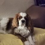 e5293ff6-02c1-4692-94cf-290364681cab