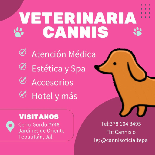 clinica veterinaria, placas con QR identificador, cannis