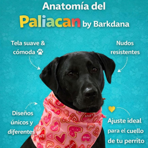 barkdana, anatomia del paliacate para tus mascotas