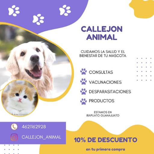 CALLEJON ANIMAL