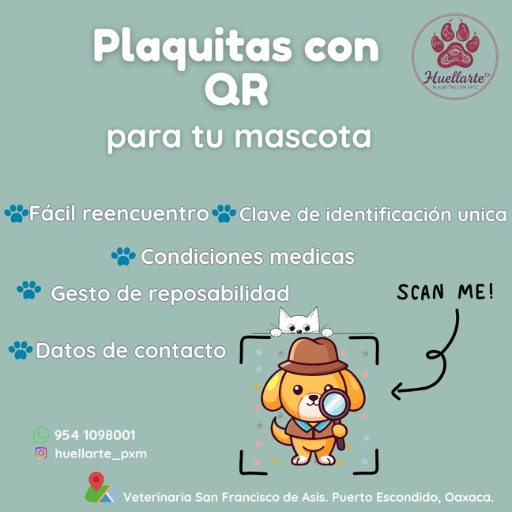 pacas para mascota con qr identificador huellarte