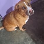 3509